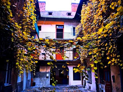 квартира за адресою Князя Романа вул. (), 24