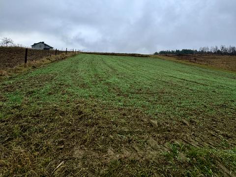 участок по адресу Десі Українки