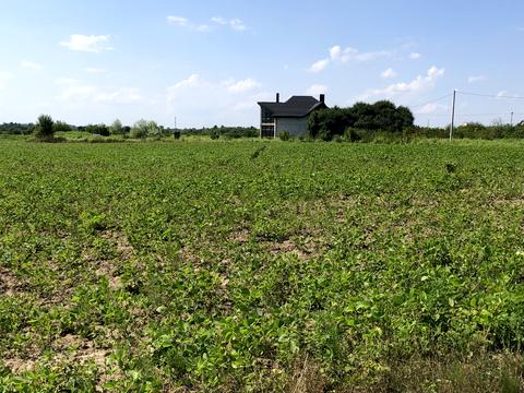 участок по адресу  Новый Киселев, 