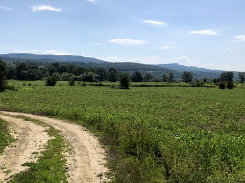 участок по адресу  Новый Киселев, 