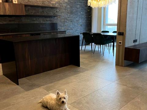 квартира за адресою Бульварно-Кудрявська вул. (Воровського), 17-А