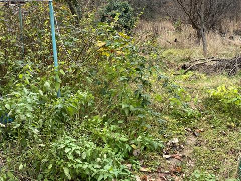 ділянка за адресою Висока вул., 23