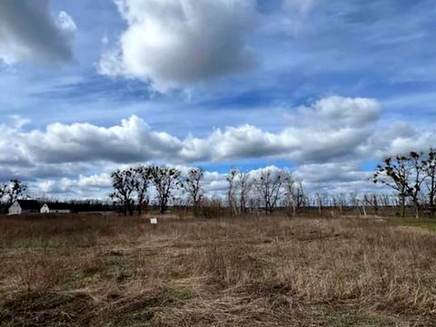 ділянка за адресою Садова