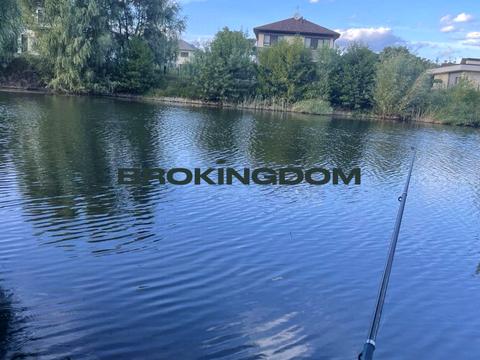 дом по адресу Мирна