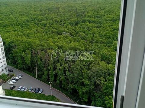 квартира за адресою Перемоги просп., 66з