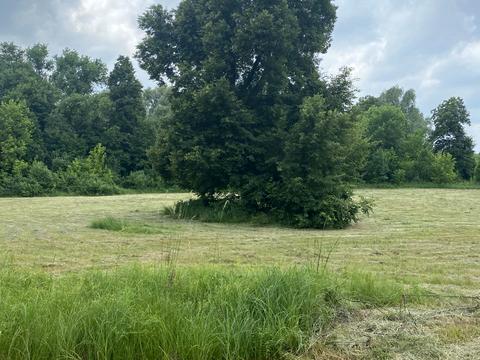 ділянка за адресою Підлісна