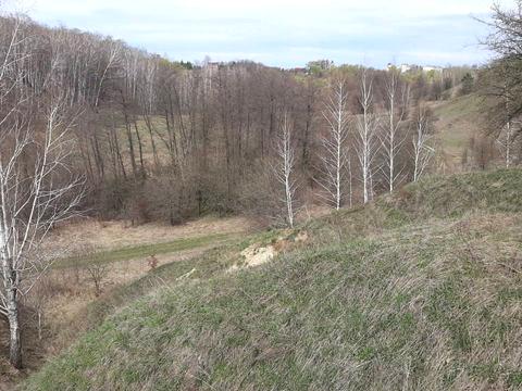 ділянка за адресою с-ще. Зелений Бір, 