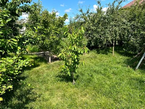 будинок за адресою Перемога