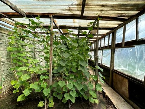 будинок за адресою Перемога