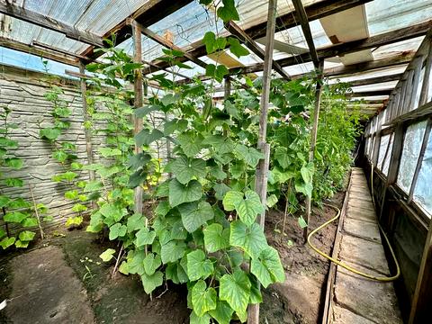 будинок за адресою Перемога