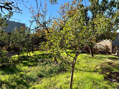 дом по адресу 1-й Курортный пер.