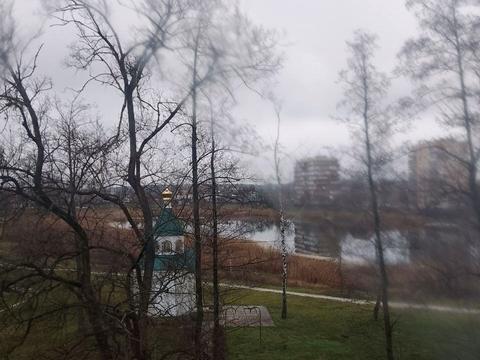 кімната за адресою Білодібровна вул., 14