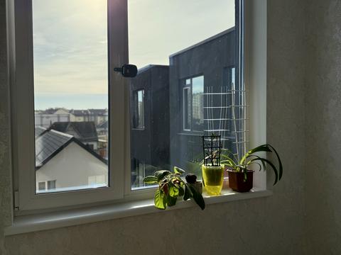 квартира за адресою Пшенична вул., 51