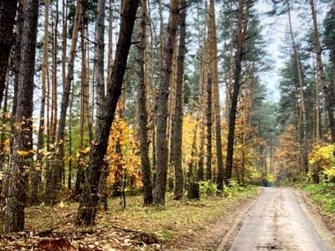 ділянка за адресою 