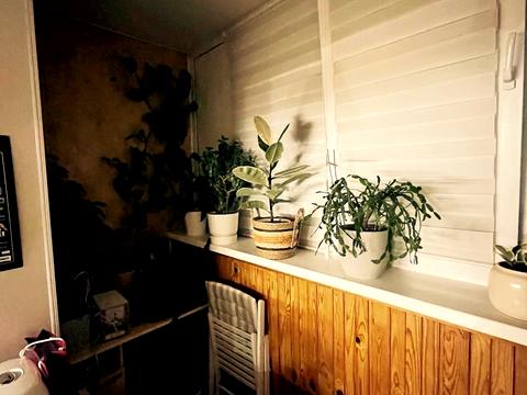 квартира за адресою Василя Касіяна вул., 2-Б