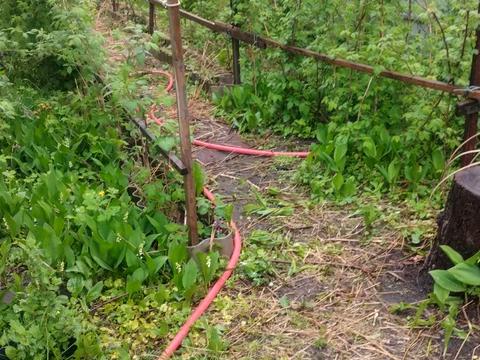 будинок за адресою Чорногірська вул., 24