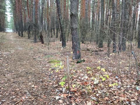 ділянка за адресою Радистів пров.