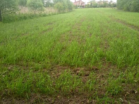 ділянка за адресою 