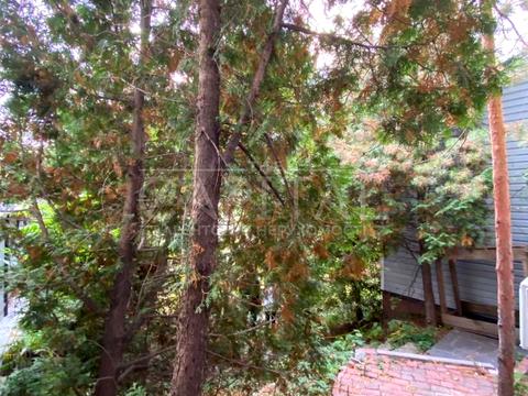 комерційна за адресою Редутна вул., 58