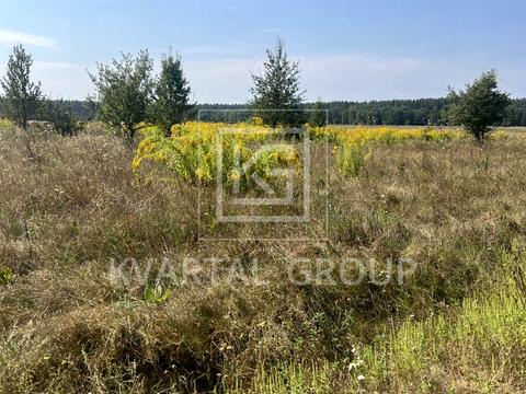 участок по адресу Калинова