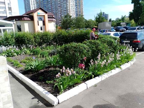 квартира за адресою Драгоманова вул., 31-Б