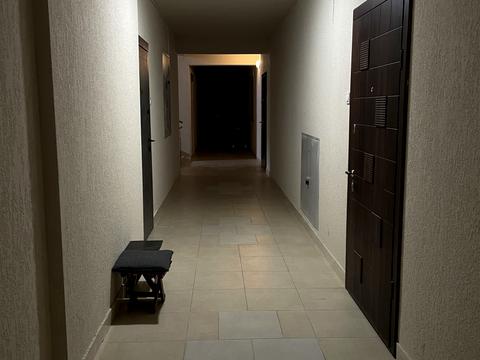 квартира по адресу Архитектора Старова ул., 2Д/2