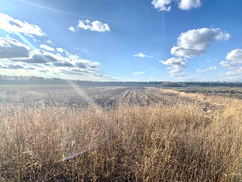 будинок за адресою Центральна