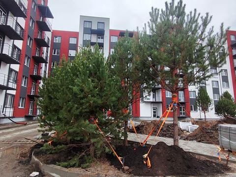 квартира за адресою Щаслива, 21