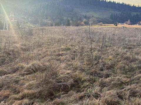 участок по адресу с. Волосянка, 