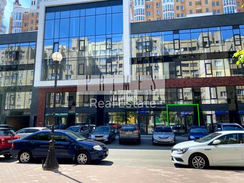 комерційна за адресою Левка Лук'яненка вул. (Маршала Тимошенка), 21к4