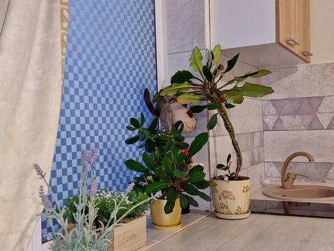 дом по адресу Шевченка ул.