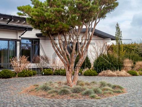 дом по адресу  ул., 15