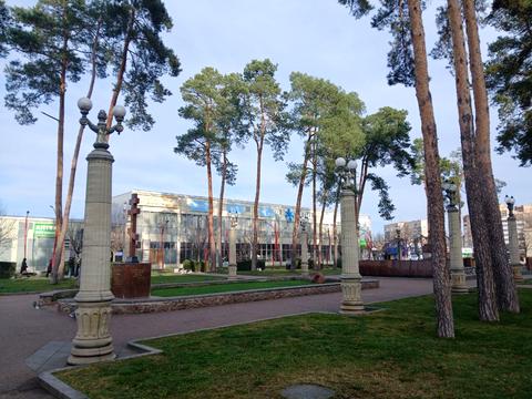 дом по адресу Центральная ул. (Чапаева), 37