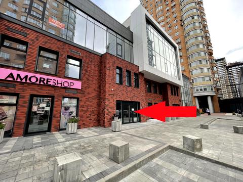 комерційна за адресою Левка Лук'яненка вул. (Маршала Тимошенка), 21к14