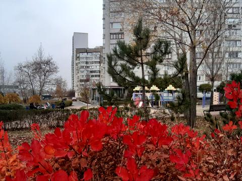 квартира за адресою Рональда Рейгана вул., 36