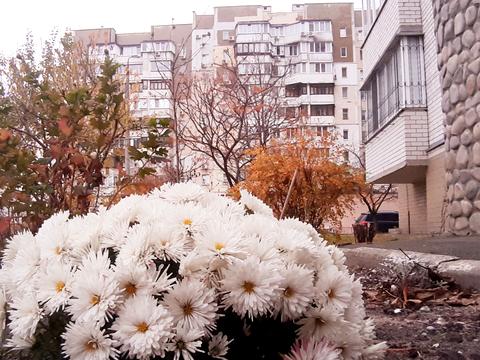 квартира за адресою Рональда Рейгана вул., 36