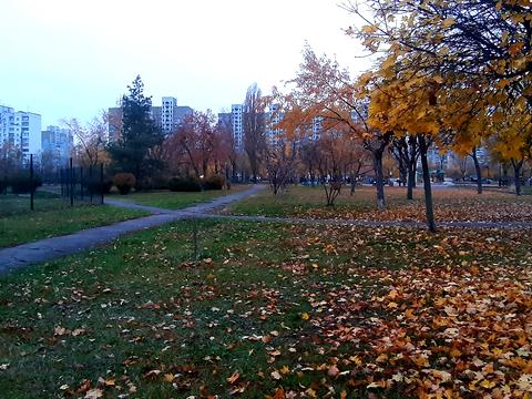 квартира за адресою Рональда Рейгана вул., 36