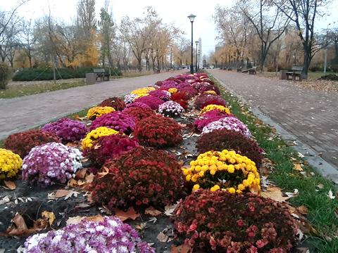 квартира за адресою Рональда Рейгана вул., 36