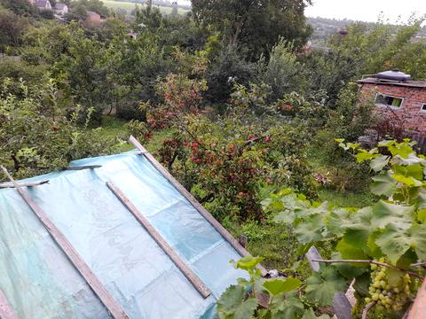 будинок за адресою Видрові Доли