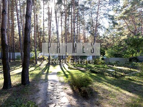 дом по адресу Бортницкий пер., 7А