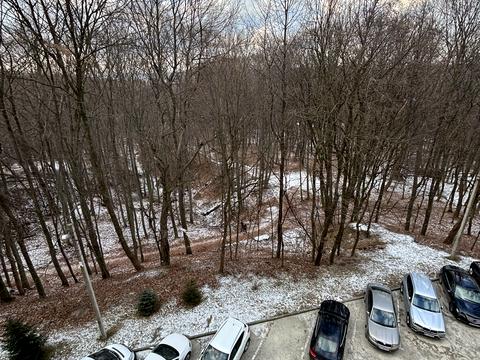 квартира по адресу Жасминовая ул., 5б