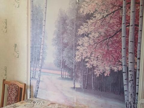 квартира за адресою Південна вул., 33