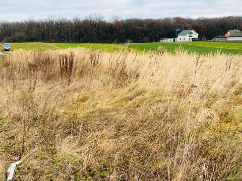 участок по адресу Яблунева