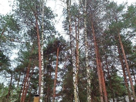 будинок за адресою Набережна вул.