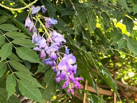 будинок за адресою Набережна вул.