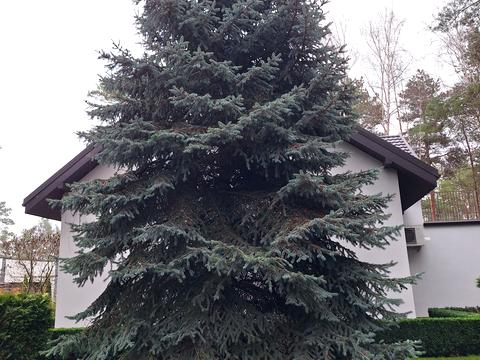 будинок за адресою Набережна вул.