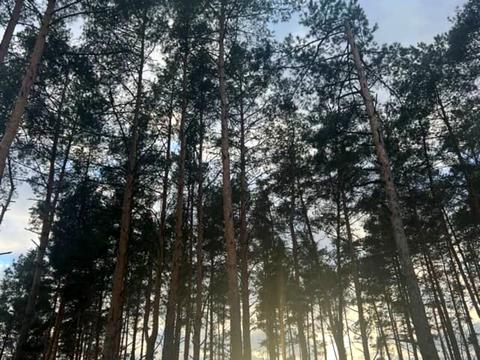 дом по адресу Патріотів