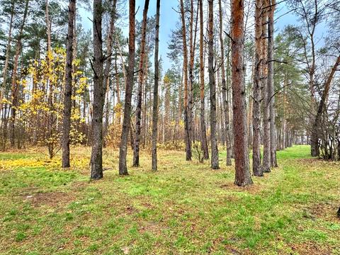 участок по адресу 