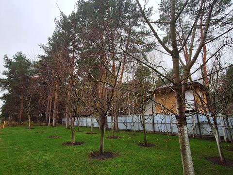 будинок за адресою Набережна вул.