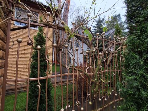 будинок за адресою Набережна вул.